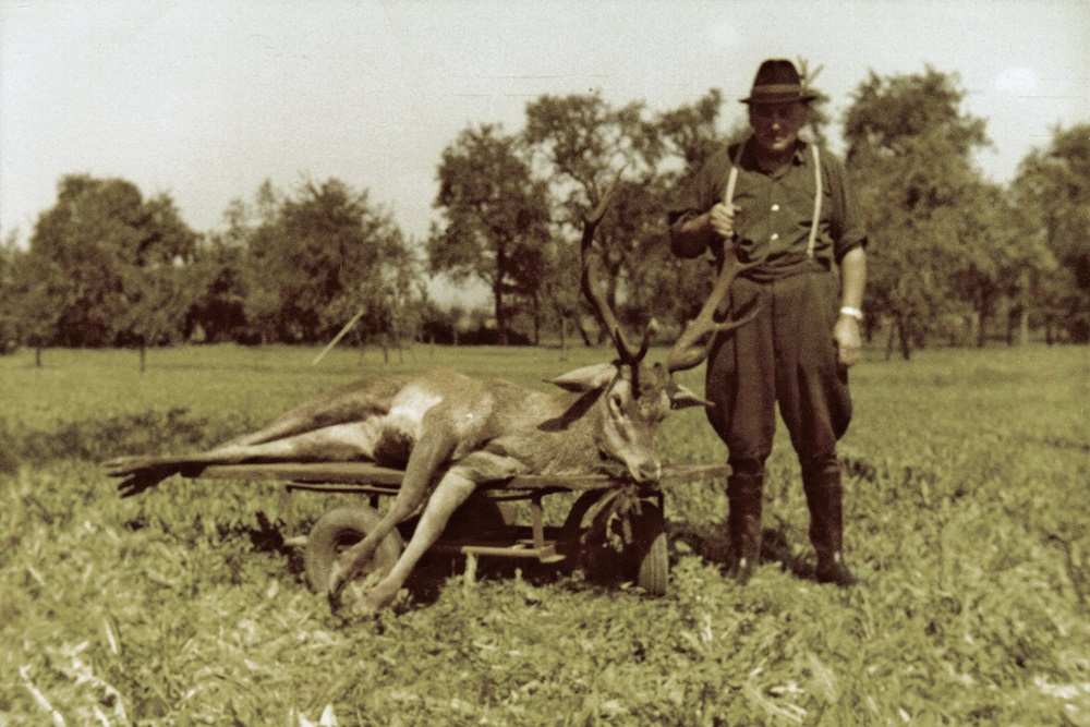 Guts- und Forstverwaltung DI Dr. Alfred Schreiberhuber